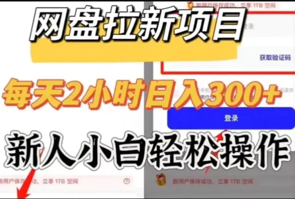 网盘拉新野路子3.0玩法发展团队实现被动收入